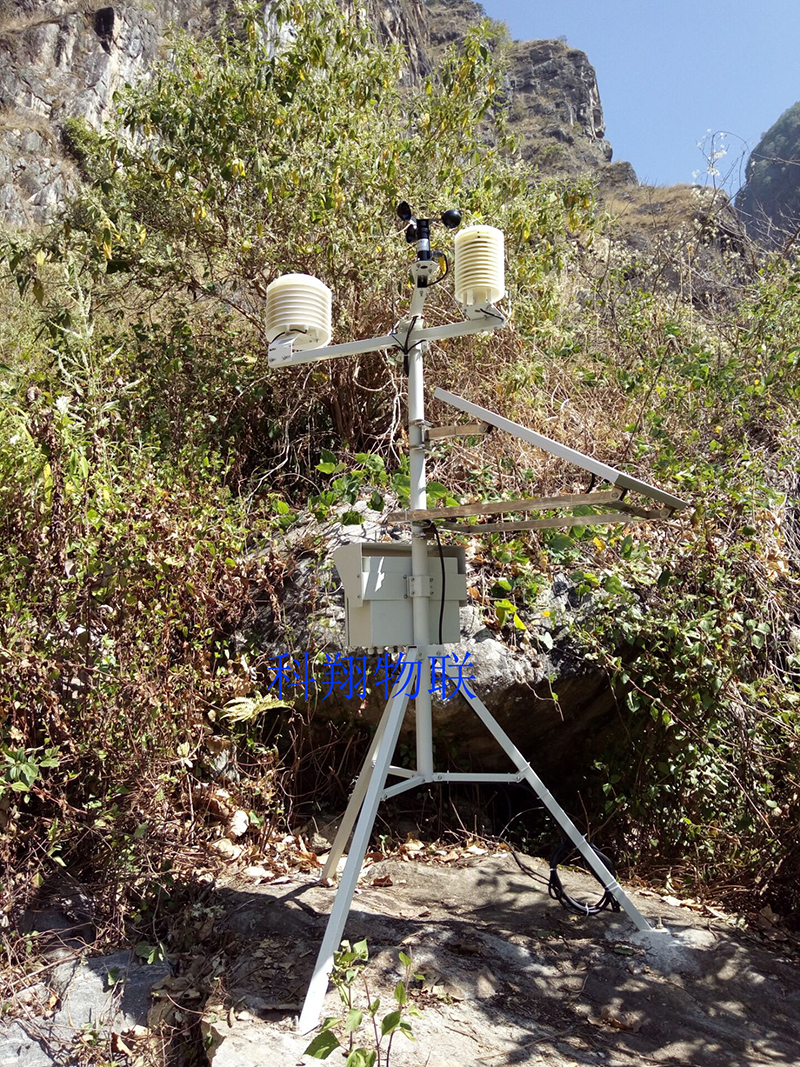 1594802435163953.jpg 2.jpg