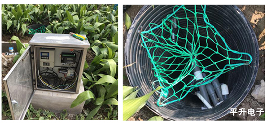 1598601351134252.jpg 1573552793538913.jpg